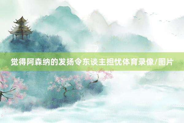 觉得阿森纳的发扬令东谈主担忧体育录像/图片