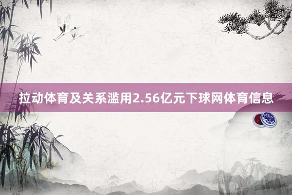 拉动体育及关系滥用2.56亿元下球网体育信息