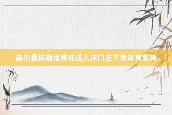 赫尔曼精确地将球送入球门左下角体育集锦