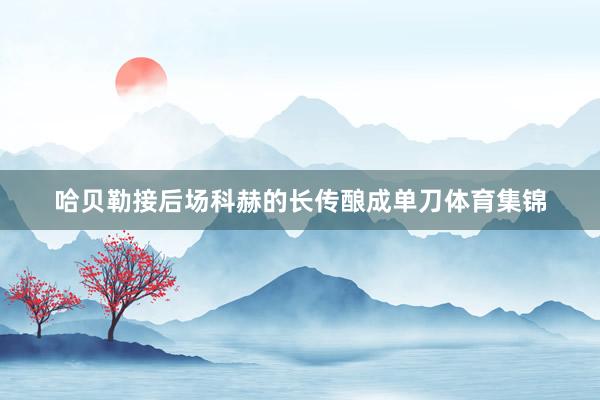 哈贝勒接后场科赫的长传酿成单刀体育集锦
