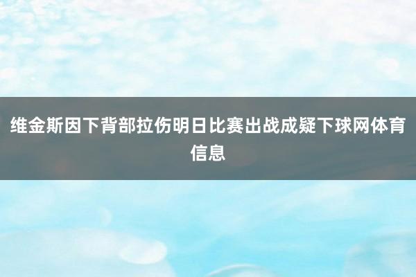 维金斯因下背部拉伤明日比赛出战成疑下球网体育信息