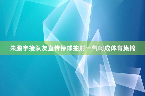 朱鹏宇接队友直传停球抽射一气呵成体育集锦