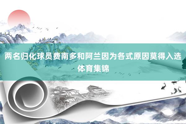 两名归化球员费南多和阿兰因为各式原因莫得入选体育集锦