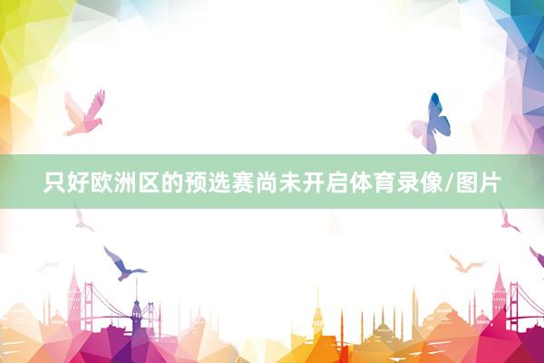 只好欧洲区的预选赛尚未开启体育录像/图片