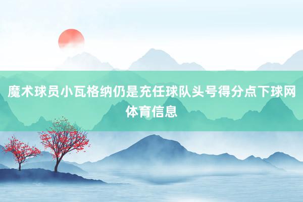 魔术球员小瓦格纳仍是充任球队头号得分点下球网体育信息