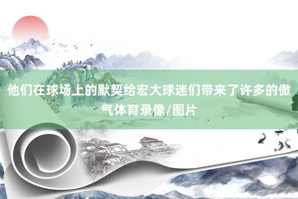 他们在球场上的默契给宏大球迷们带来了许多的傲气体育录像/图片