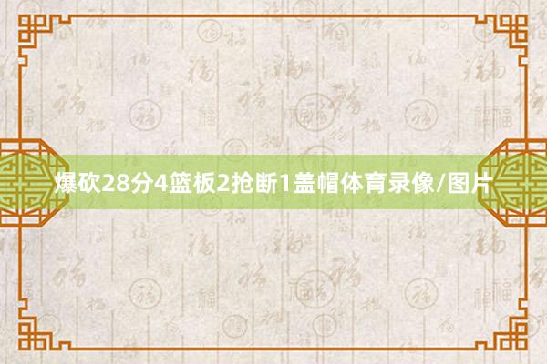 爆砍28分4篮板2抢断1盖帽体育录像/图片