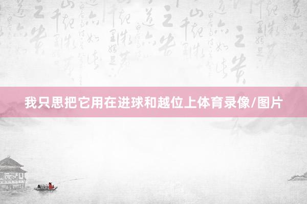 我只思把它用在进球和越位上体育录像/图片