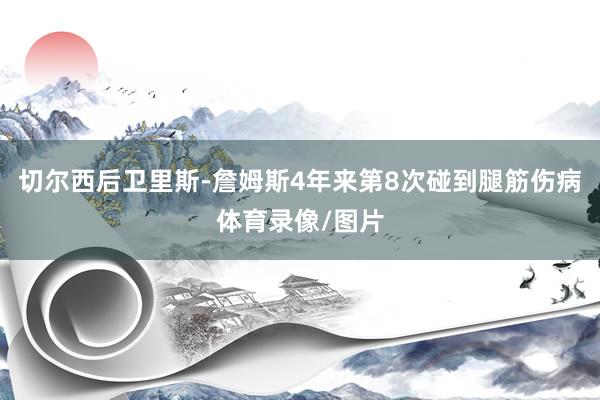 切尔西后卫里斯-詹姆斯4年来第8次碰到腿筋伤病体育录像/图片