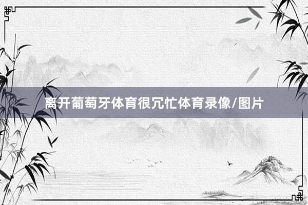 离开葡萄牙体育很冗忙体育录像/图片