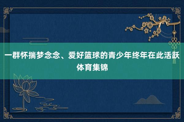 一群怀揣梦念念、爱好篮球的青少年终年在此活跃体育集锦