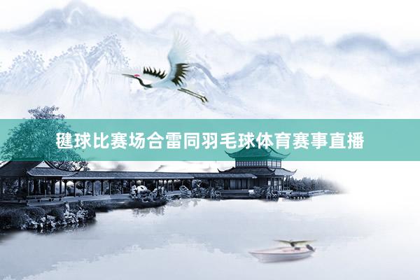 毽球比赛场合雷同羽毛球体育赛事直播