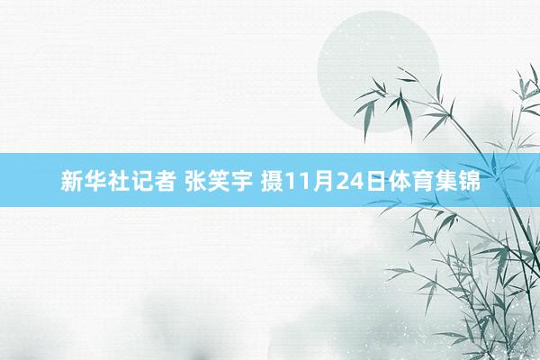 新华社记者 张笑宇 摄11月24日体育集锦