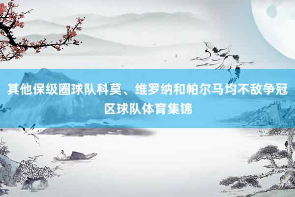 其他保级圈球队科莫、维罗纳和帕尔马均不敌争冠区球队体育集锦