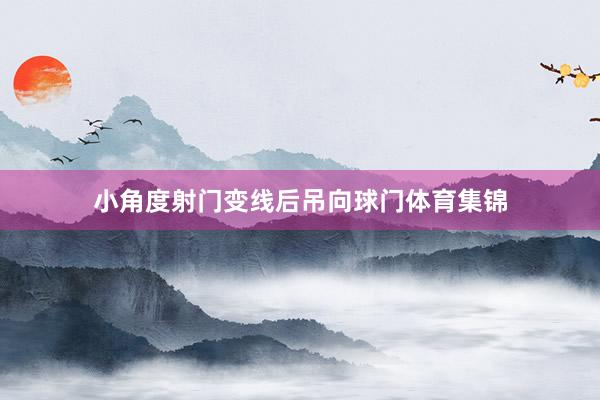 小角度射门变线后吊向球门体育集锦