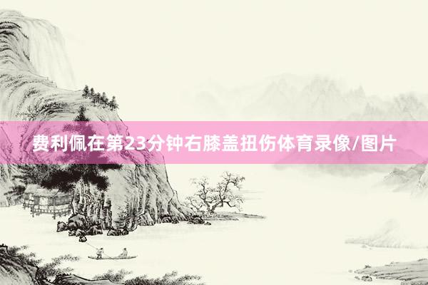 费利佩在第23分钟右膝盖扭伤体育录像/图片