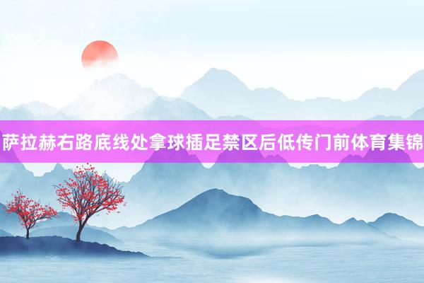 萨拉赫右路底线处拿球插足禁区后低传门前体育集锦
