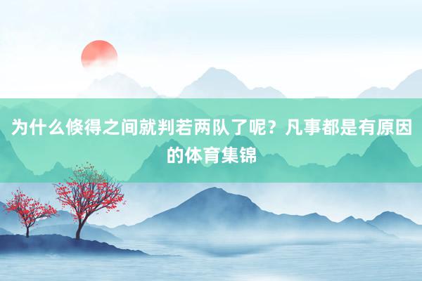为什么倏得之间就判若两队了呢？凡事都是有原因的体育集锦