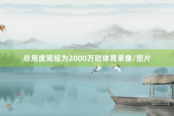 总用度简短为2000万欧体育录像/图片