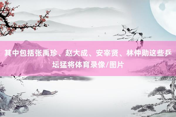 其中包括张禹珍、赵大成、安宰贤、林仲勋这些乒坛猛将体育录像/图片