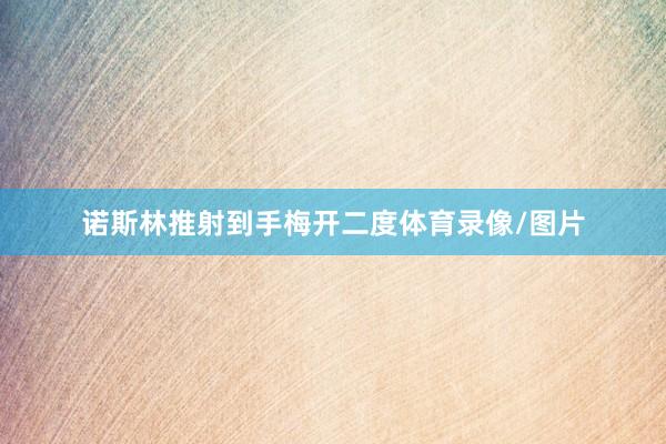 诺斯林推射到手梅开二度体育录像/图片