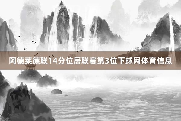 阿德莱德联14分位居联赛第3位下球网体育信息