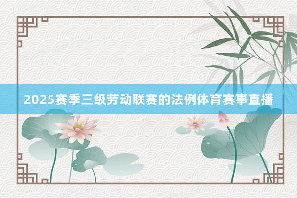 2025赛季三级劳动联赛的法例体育赛事直播
