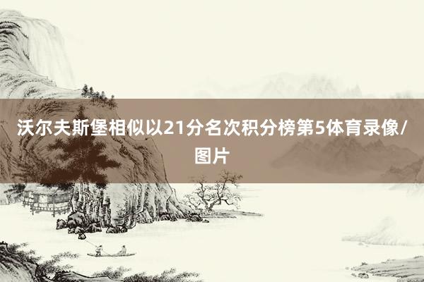 沃尔夫斯堡相似以21分名次积分榜第5体育录像/图片