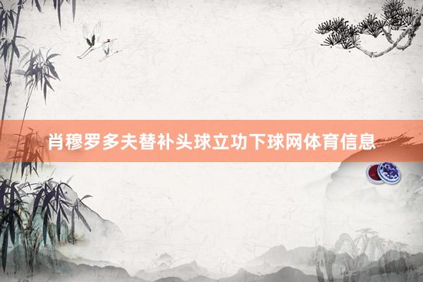 肖穆罗多夫替补头球立功下球网体育信息
