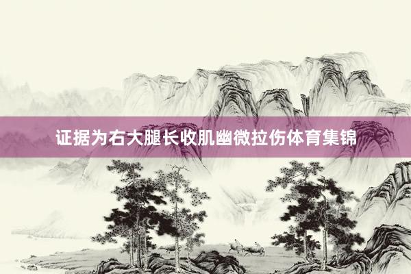 证据为右大腿长收肌幽微拉伤体育集锦