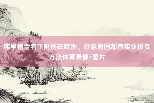 弗里德金名下财团在欧洲、好意思国都有实业投资方法体育录像/图片
