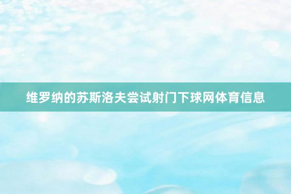 维罗纳的苏斯洛夫尝试射门下球网体育信息