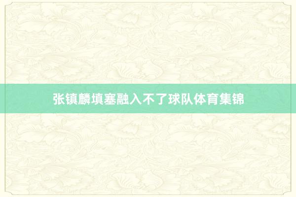 张镇麟填塞融入不了球队体育集锦