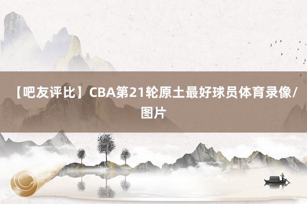 【吧友评比】CBA第21轮原土最好球员体育录像/图片