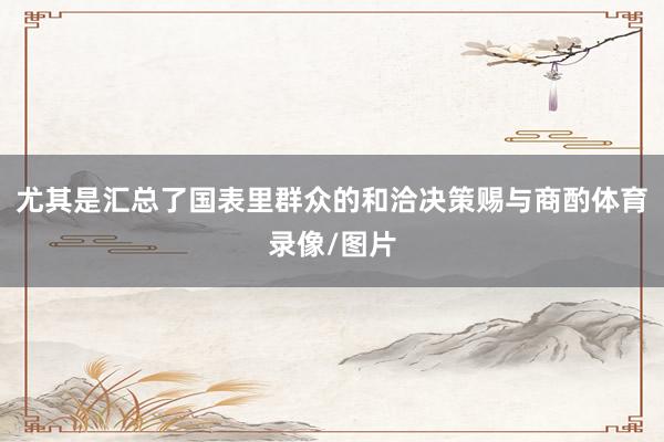 尤其是汇总了国表里群众的和洽决策赐与商酌体育录像/图片