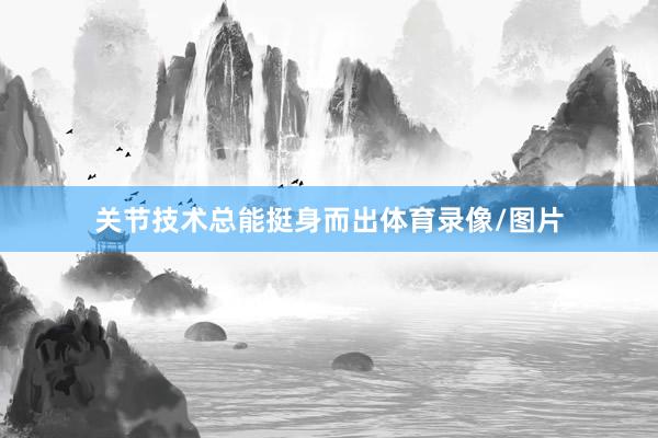 关节技术总能挺身而出体育录像/图片
