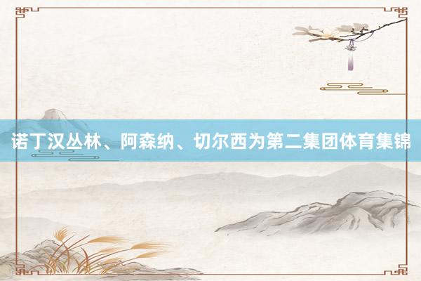 诺丁汉丛林、阿森纳、切尔西为第二集团体育集锦