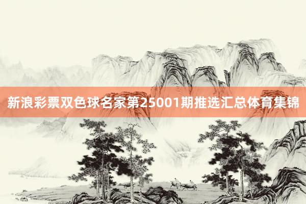 新浪彩票双色球名家第25001期推选汇总体育集锦