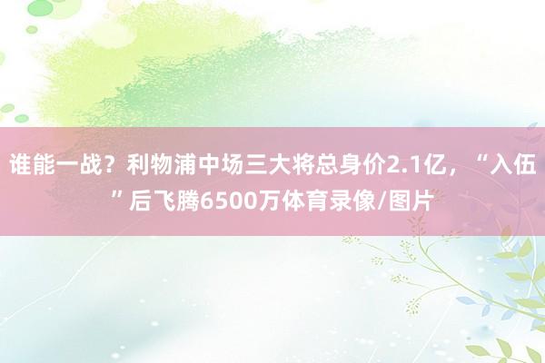 谁能一战？利物浦中场三大将总身价2.1亿，“入伍”后飞腾6500万体育录像/图片