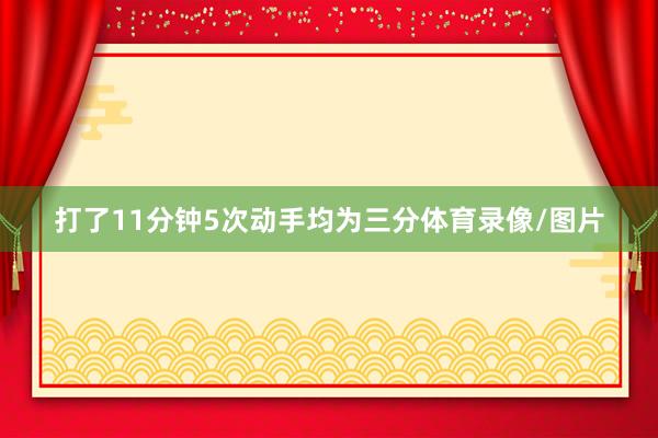 打了11分钟5次动手均为三分体育录像/图片
