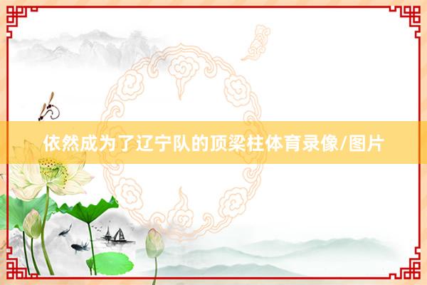 依然成为了辽宁队的顶梁柱体育录像/图片