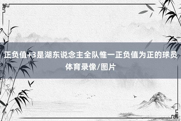 正负值+3是湖东说念主全队惟一正负值为正的球员体育录像/图片