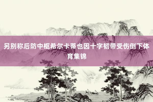 另别称后防中枢希尔卡蒂也因十字韧带受伤倒下体育集锦