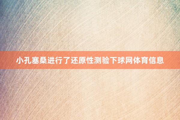 小孔塞桑进行了还原性测验下球网体育信息