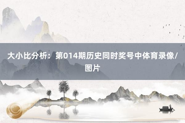大小比分析：第014期历史同时奖号中体育录像/图片