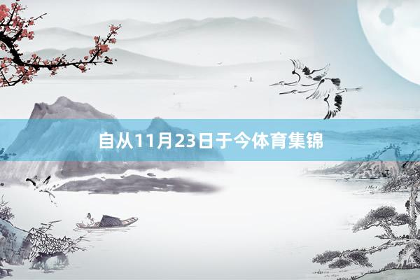 自从11月23日于今体育集锦