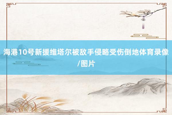 海港10号新援维塔尔被敌手侵略受伤倒地体育录像/图片