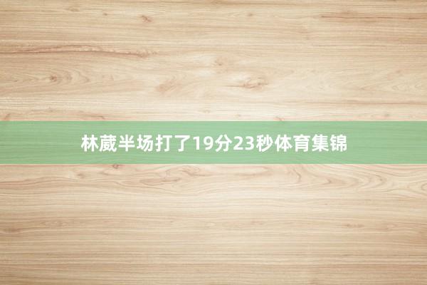 林葳半场打了19分23秒体育集锦
