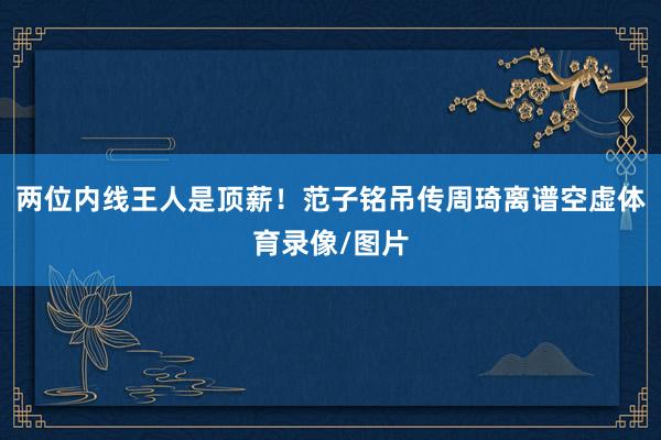 两位内线王人是顶薪！范子铭吊传周琦离谱空虚体育录像/图片