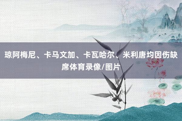 琼阿梅尼、卡马文加、卡瓦哈尔、米利唐均因伤缺席体育录像/图片
